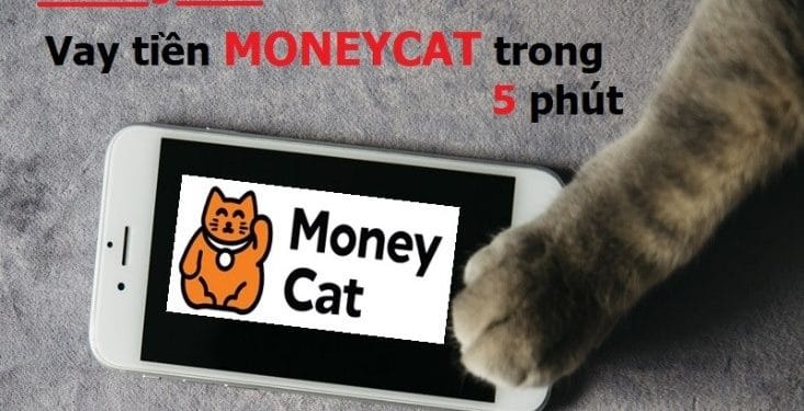 Vay tiền Money Cat