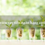 Vay vốn sinh viên ngân hàng Agribank là gì?