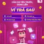 Ví trả sau Momo là gì?